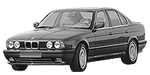 BMW E34 P1E35 Fault Code
